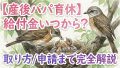 IMG 5323