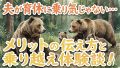 IMG 6534