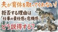 IMG 6535