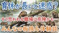 IMG 6536