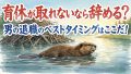 IMG 6541