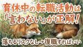IMG 6553